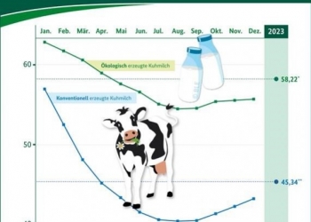 Milchpreis 2023: Wie viel bekommen Landwirtinnen und Landwirte?